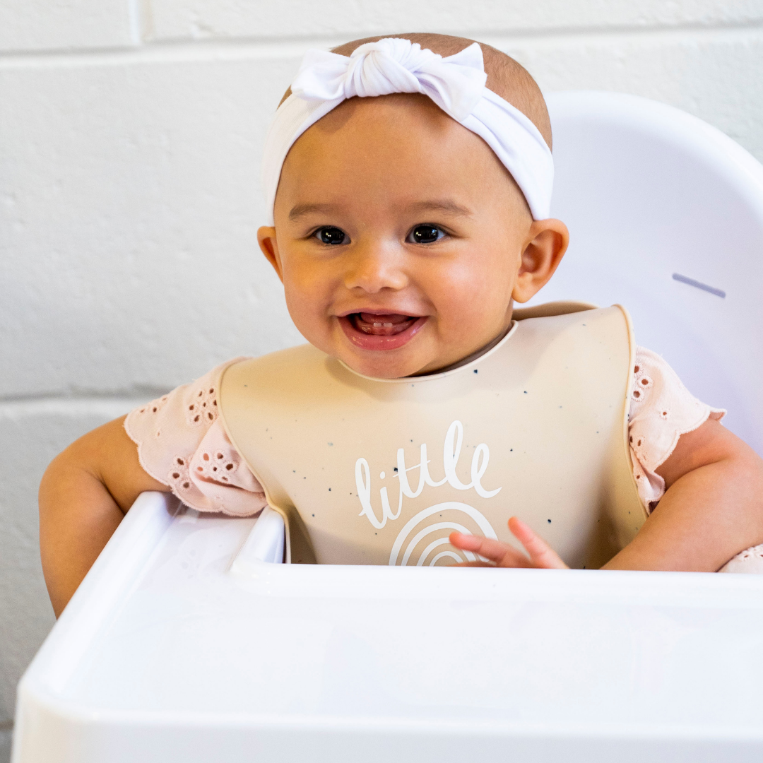 Monthly baby discount bibs