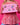 The Charmer - Pencil Case - Strawberry