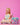 PRE-ORDER Rainbow Garden Mini Bento Lunch Box