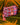 The Pom Pom - Cosmetic Bag - Fiesta
