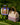 The Day Trip - Cooler Bag - Carnivale