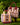 The Picnic - Cooler Bag - Tropicalia