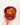 Burgundy - Silicone Snack Box
