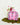 The Tote - Lunch Bag - Sweet Pea