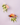Starburst Bamboo Melamine Plates