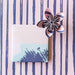 Double Sided Wrapping Paper 3PK: Fairy Floss | Blushing Confetti