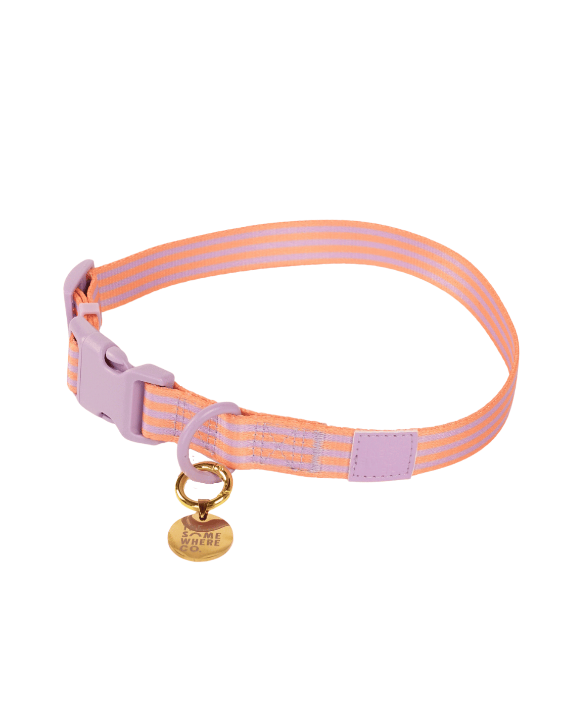 Lady Marmalade Pet Collar